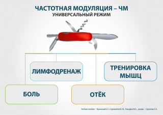 СКЭНАР-1-НТ (исполнение 01)  в Владивостоке купить Нейродэнс ПКМ официальный сайт - denasdevice.ru 